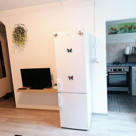 Romanilor - Studio First Floor Deva Eksteriør billede